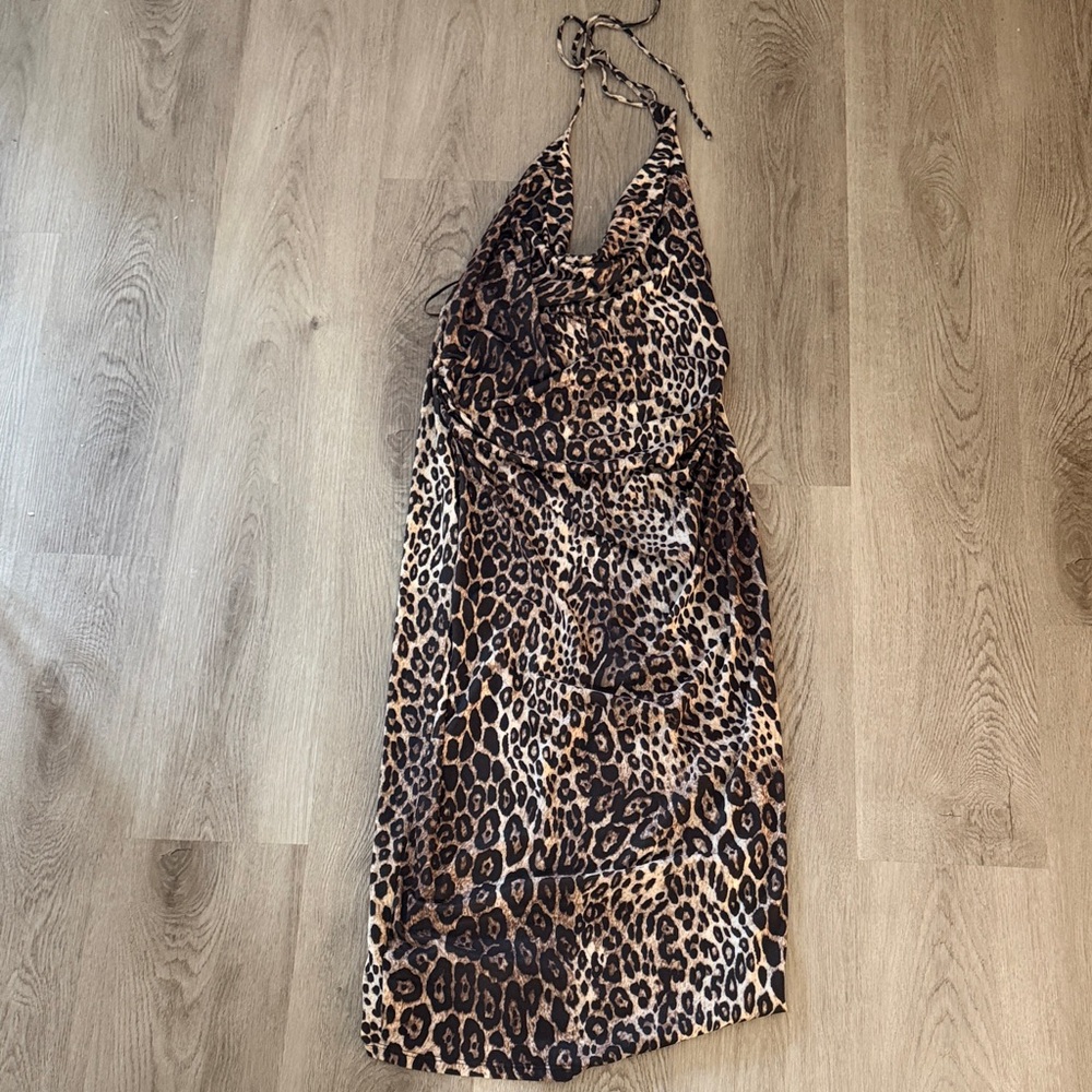 Zara Leopard Print Dress